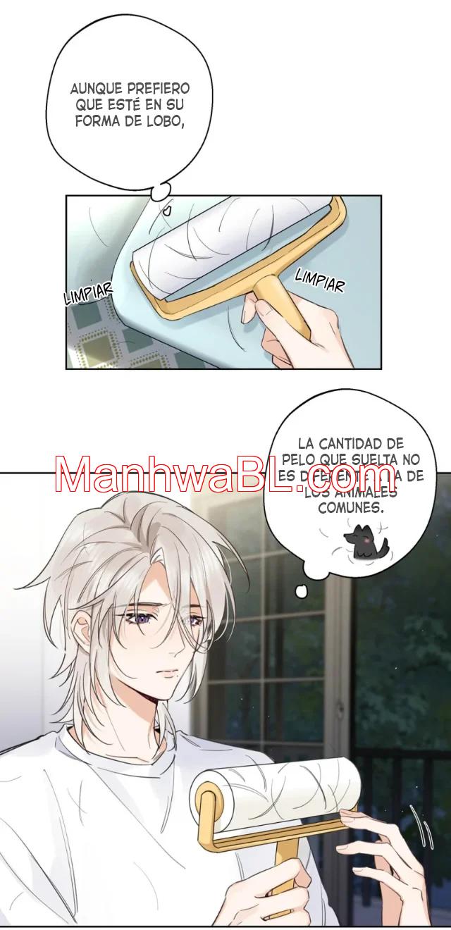 Reclamado por un lobo - Capítulo 10 manhwa