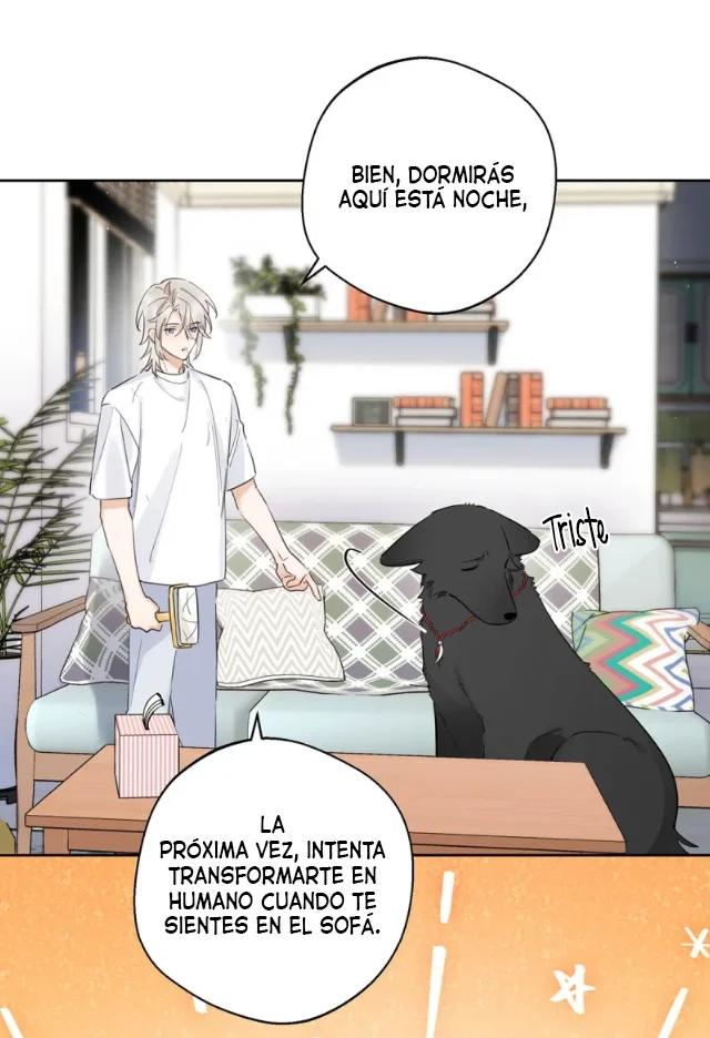 Reclamado por un lobo - Capítulo 10 manhwa