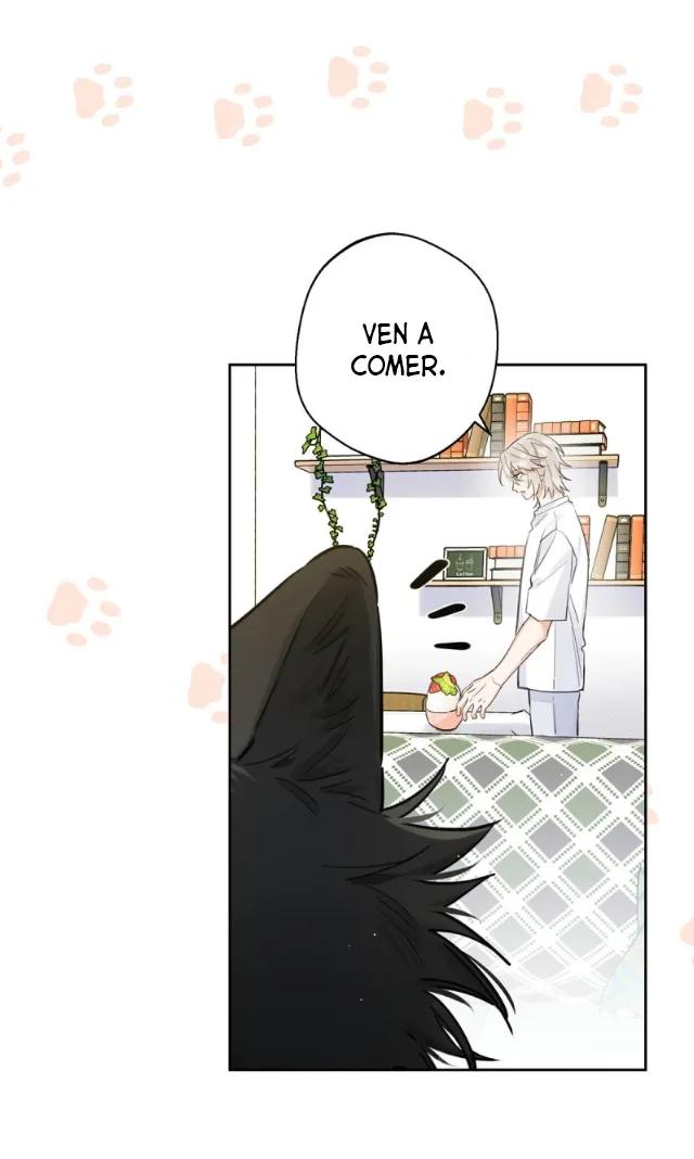 Reclamado por un lobo - Capítulo 10 manhwa