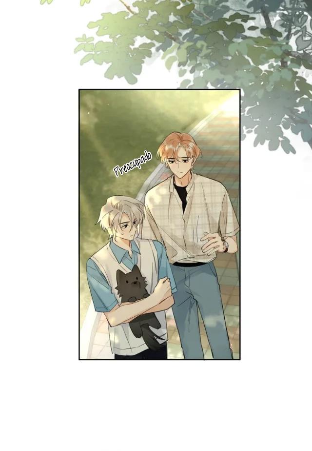 Reclamado por un lobo - Capítulo 12 manhwa