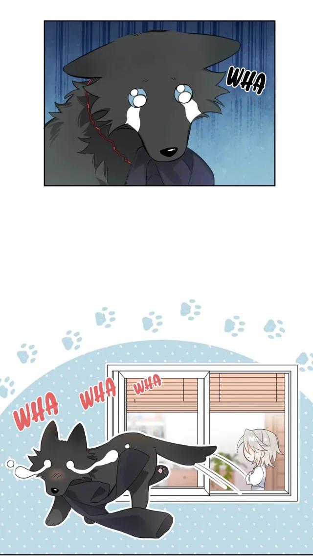 Reclamado por un lobo - Capítulo 2 manhwa