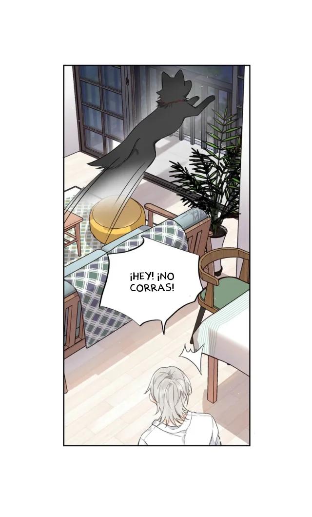Reclamado por un lobo - Capítulo 3 manhwa