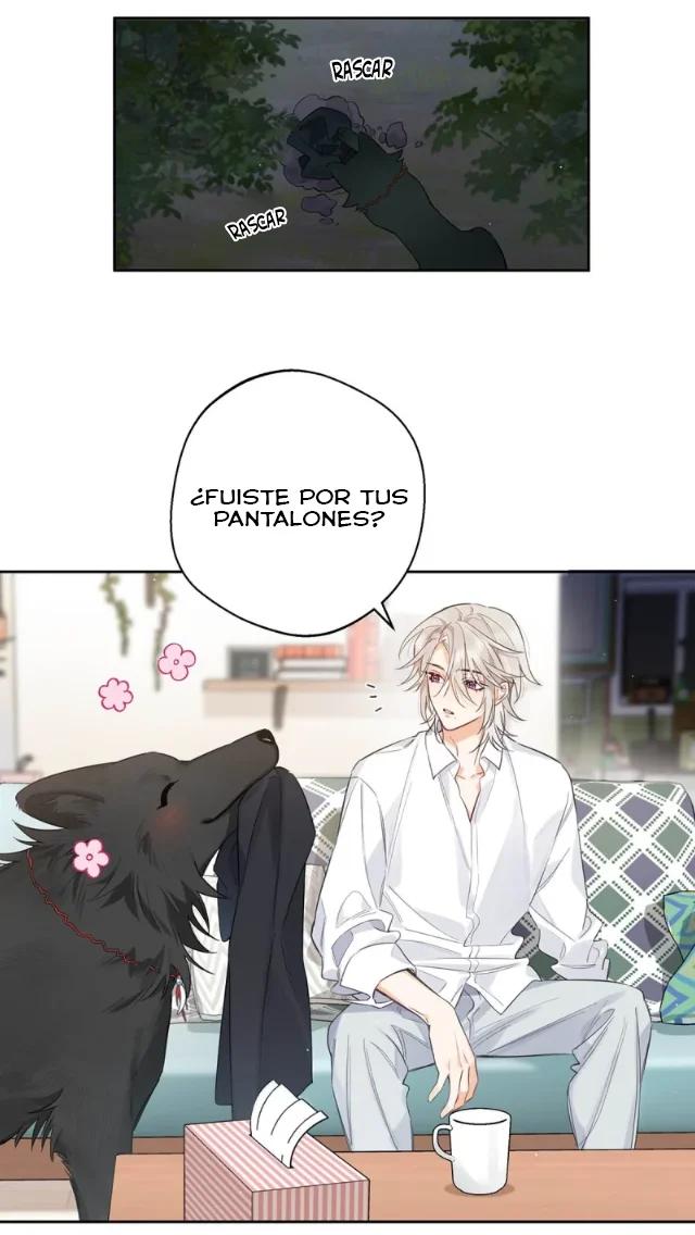 Reclamado por un lobo - Capítulo 3 manhwa