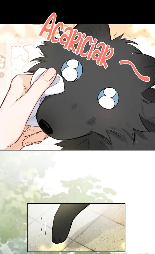 Reclamado por un lobo - Capítulo 6 manhwa