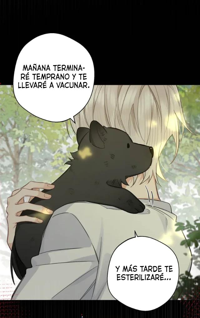 Reclamado por un lobo - Capítulo 6 manhwa