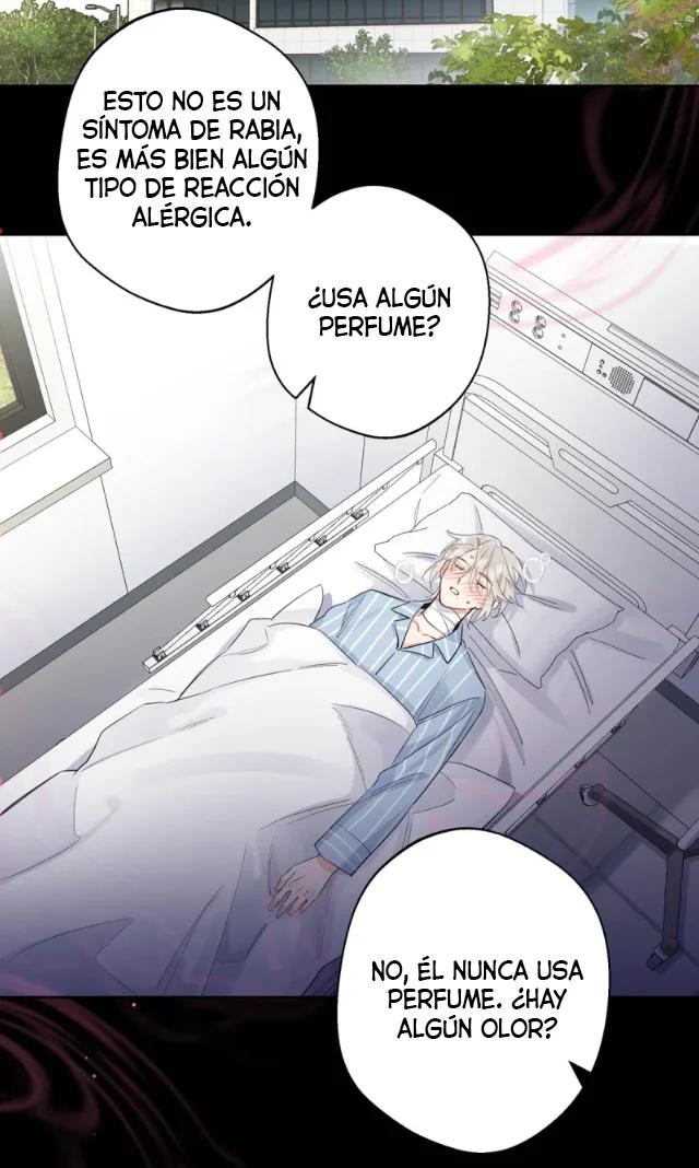 Reclamado por un lobo - Capítulo 6 manhwa