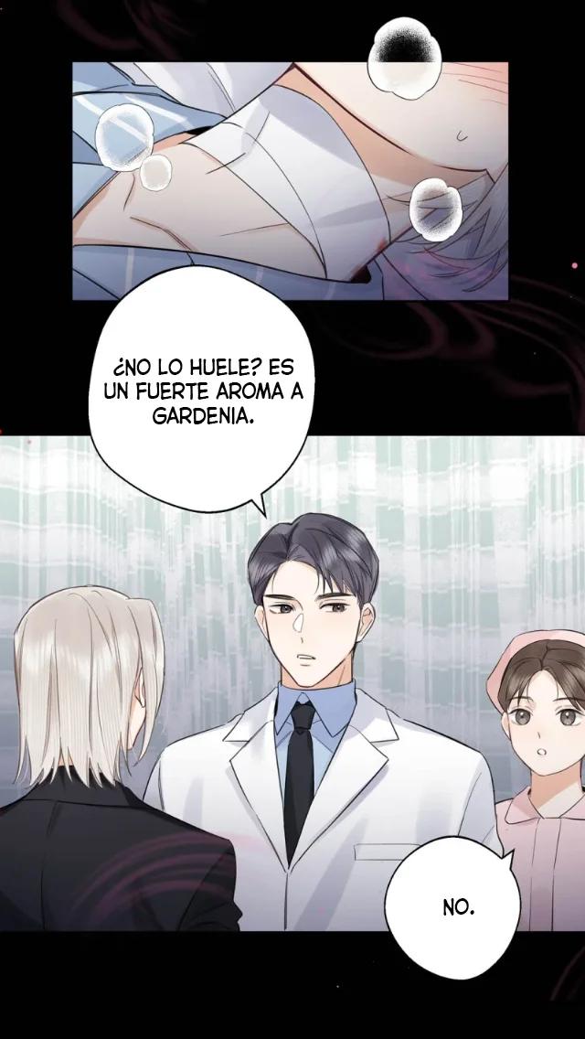 Reclamado por un lobo - Capítulo 6 manhwa