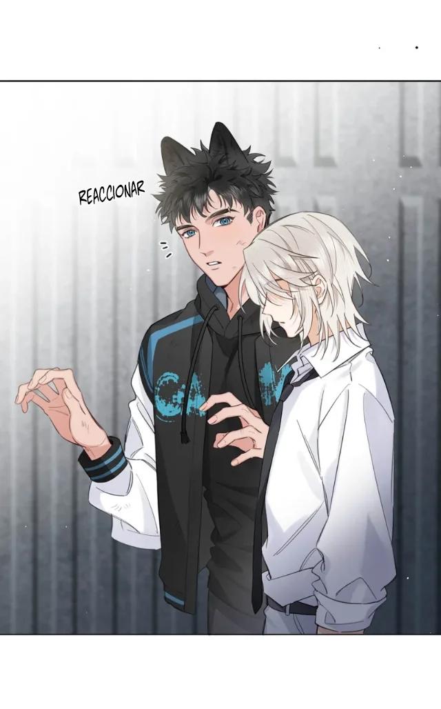 Reclamado por un lobo - Capítulo 8 manhwa