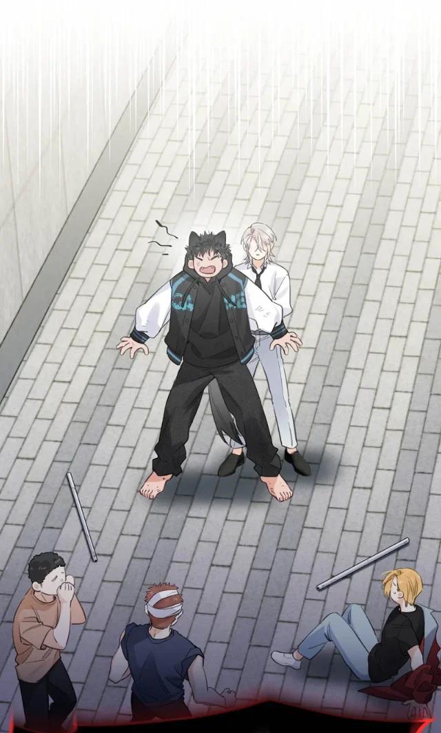 Reclamado por un lobo - Capítulo 8 manhwa