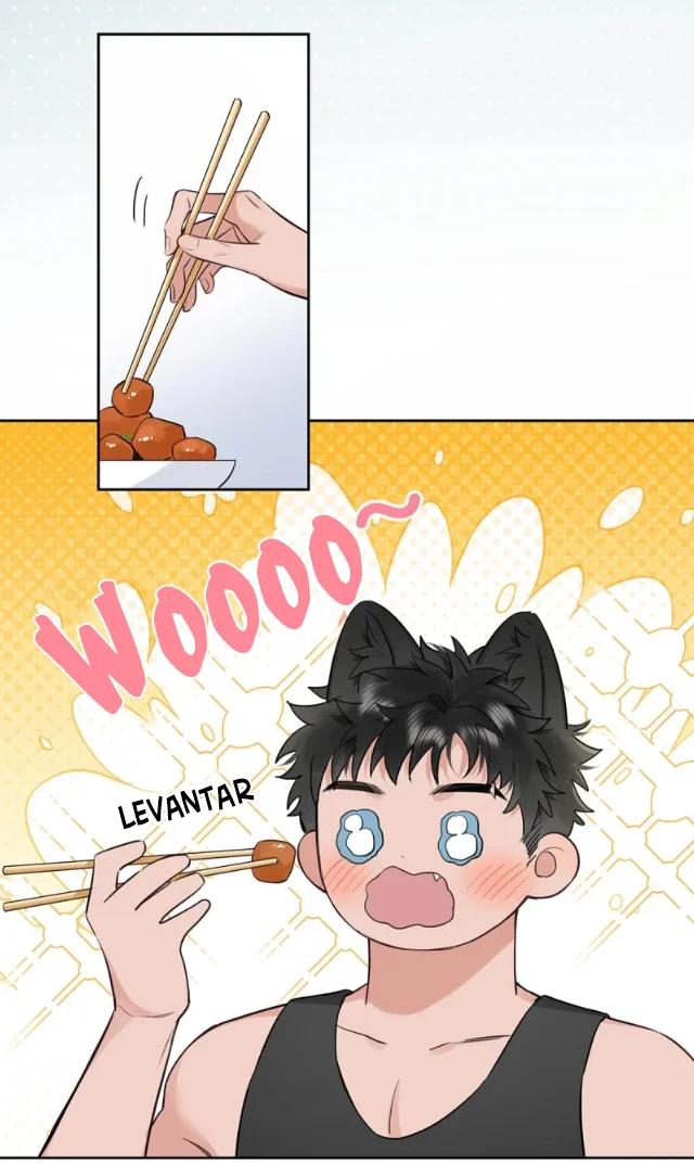 Reclamado por un lobo - Capítulo 16 manhwa
