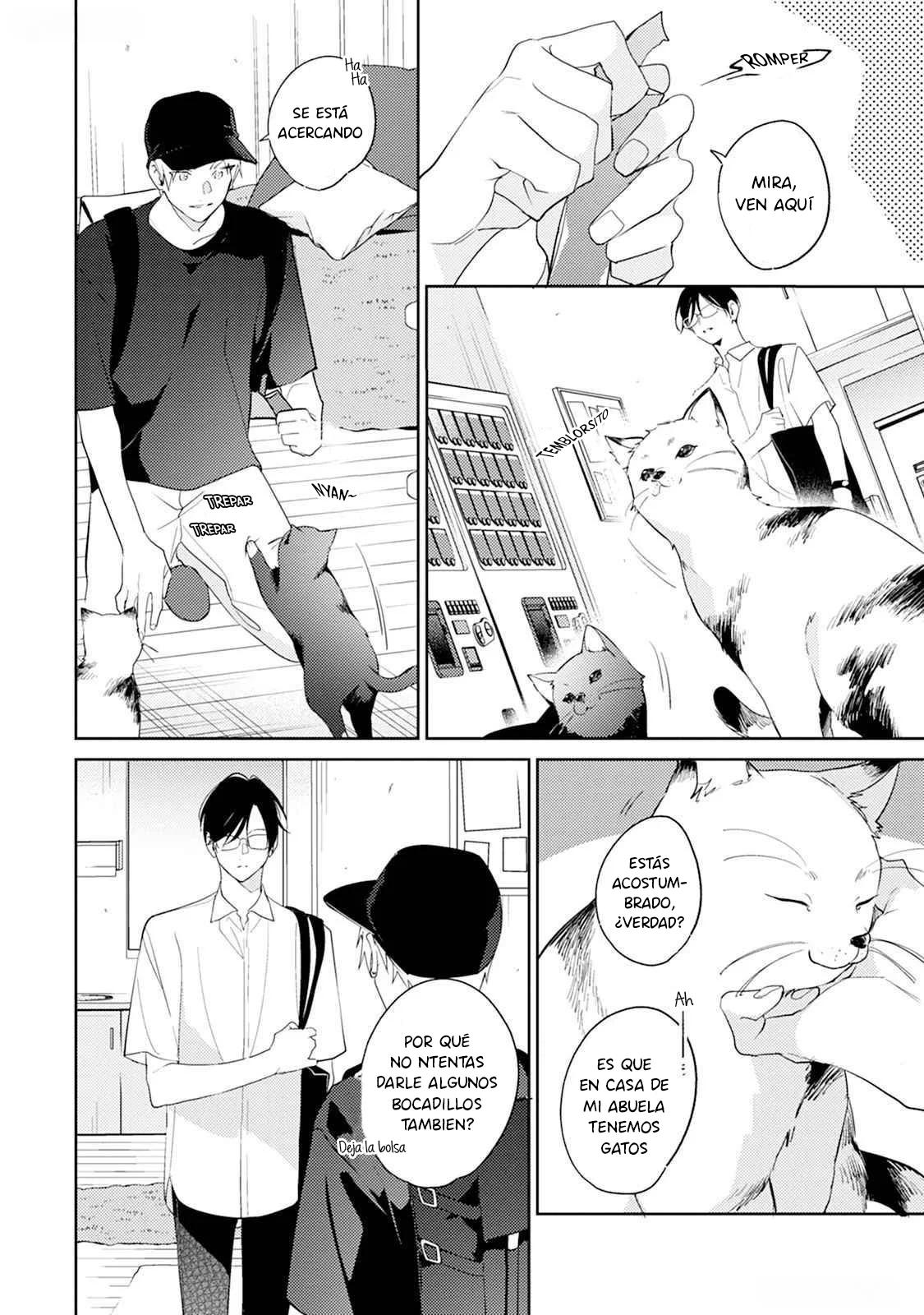 Shitasaki Kara Koi - Capítulo 8 manhwa